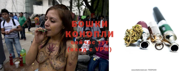 spice Куйбышев