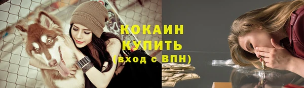 тгк Кукмор