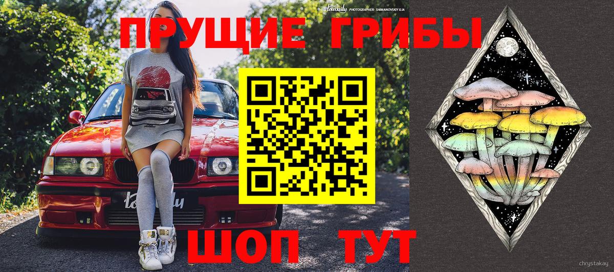 Галлюциногенные грибы мухоморы Юрга
